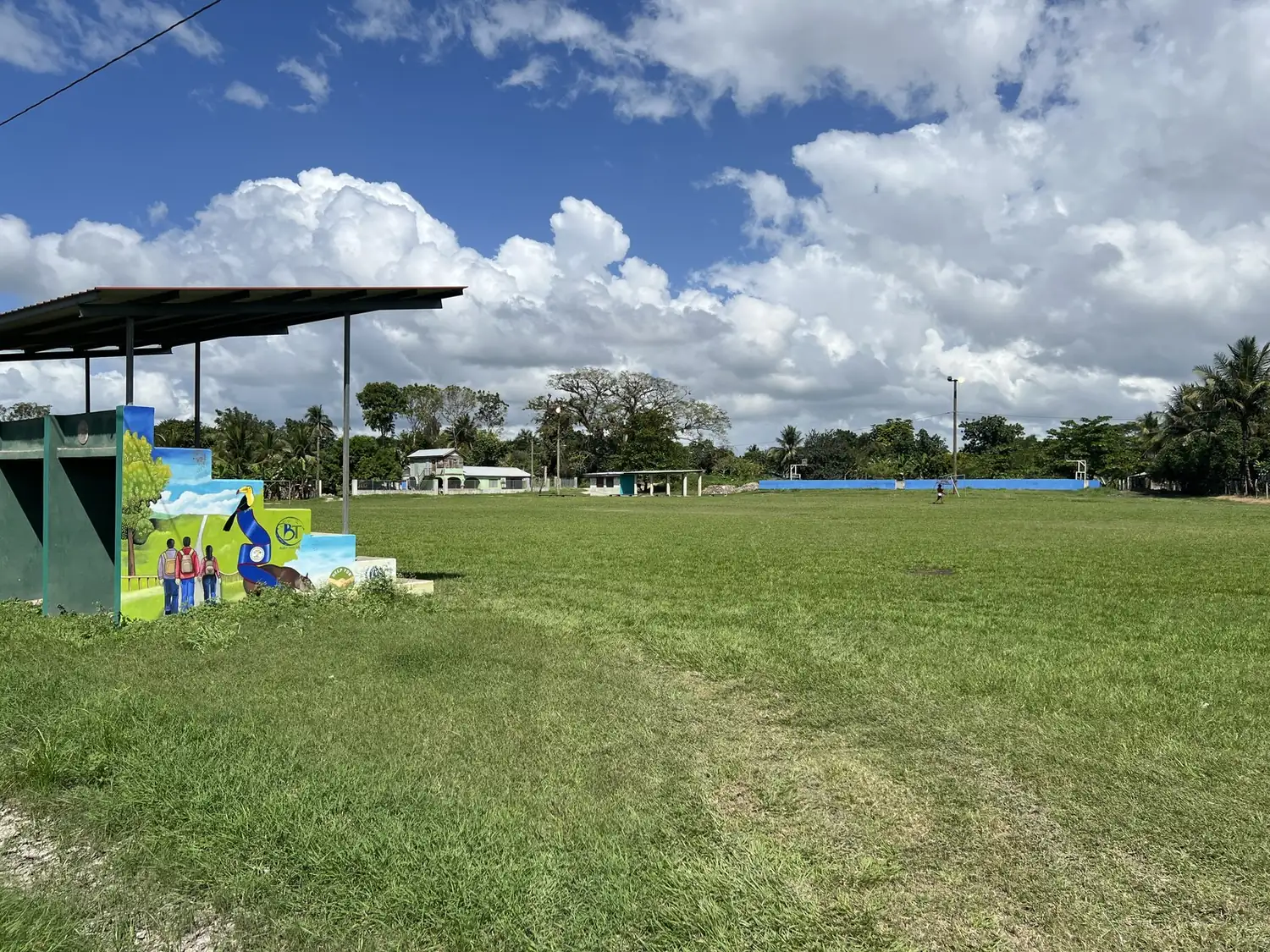 Bullet tree falls field